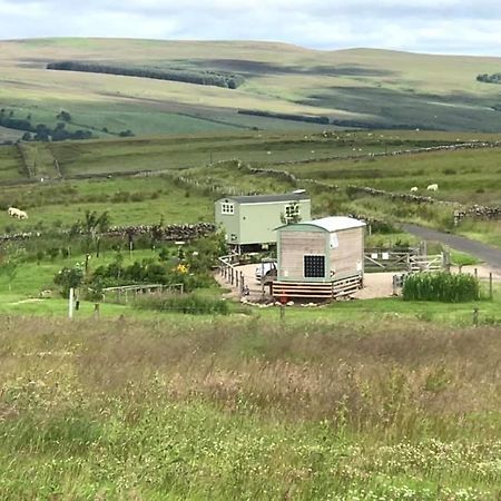 The Buteland Stop Rosie Off Grid Shepherds Hut 贝林翰 外观 照片