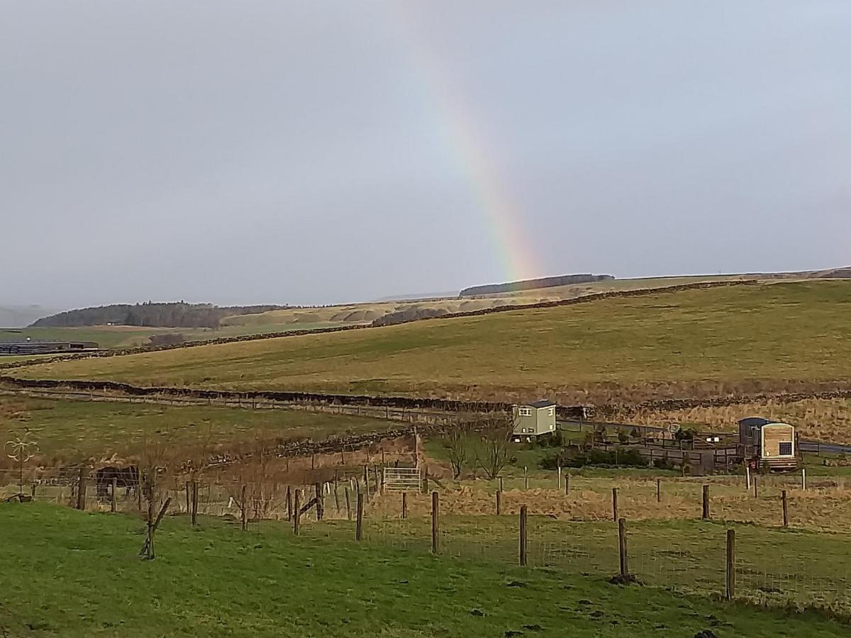 The Buteland Stop Rosie Off Grid Shepherds Hut 贝林翰 外观 照片