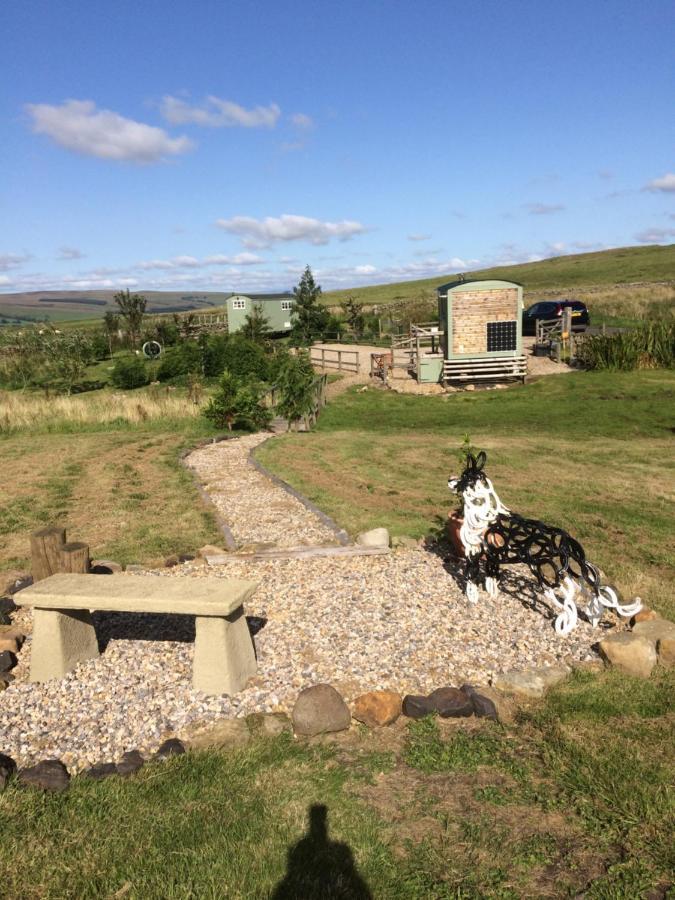 The Buteland Stop Rosie Off Grid Shepherds Hut 贝林翰 外观 照片