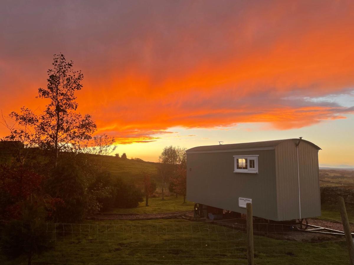 The Buteland Stop Rosie Off Grid Shepherds Hut 贝林翰 外观 照片