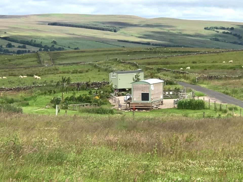 The Buteland Stop Rosie Off Grid Shepherds Hut 贝林翰 外观 照片