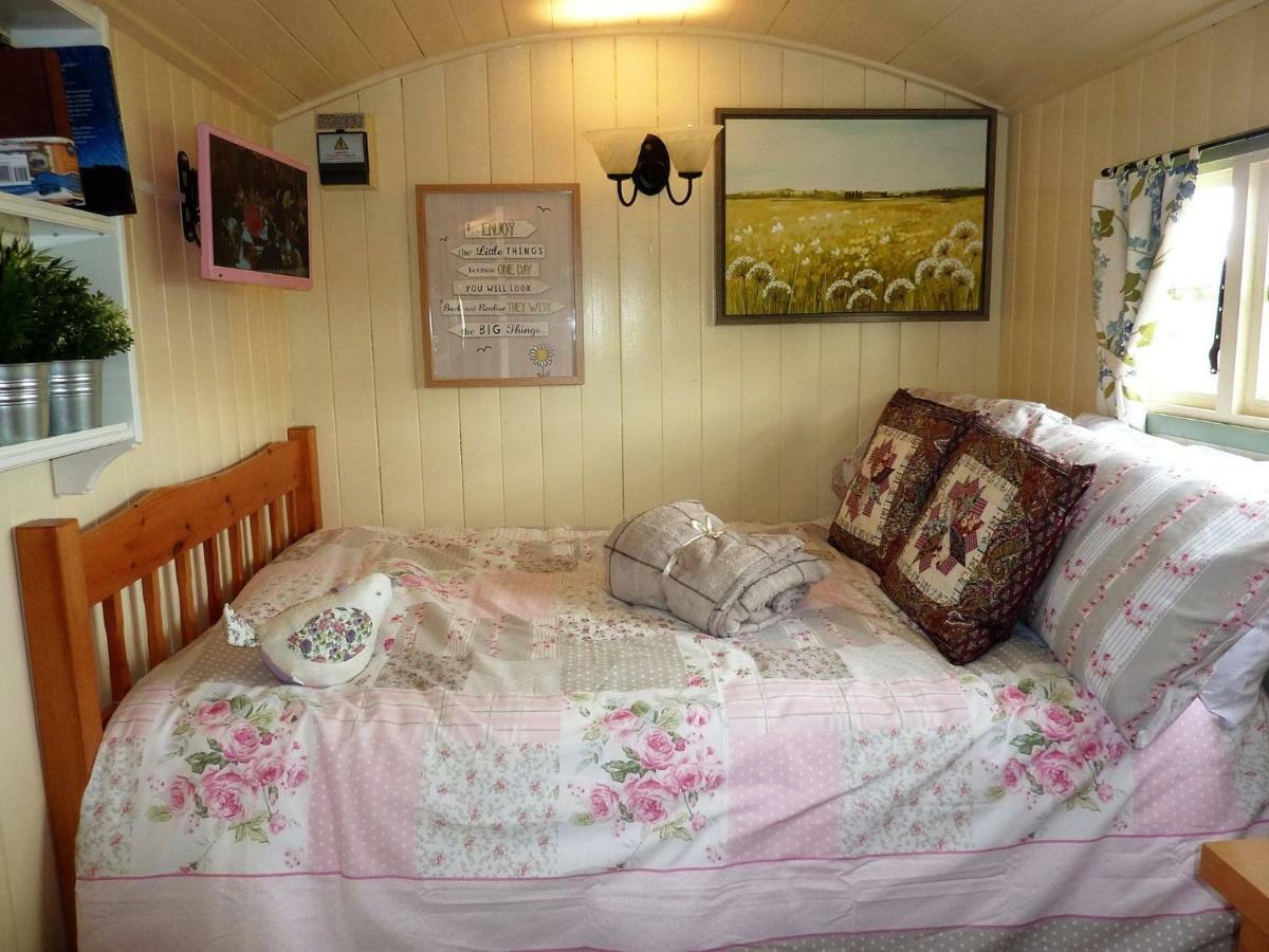 The Buteland Stop Rosie Off Grid Shepherds Hut 贝林翰 外观 照片