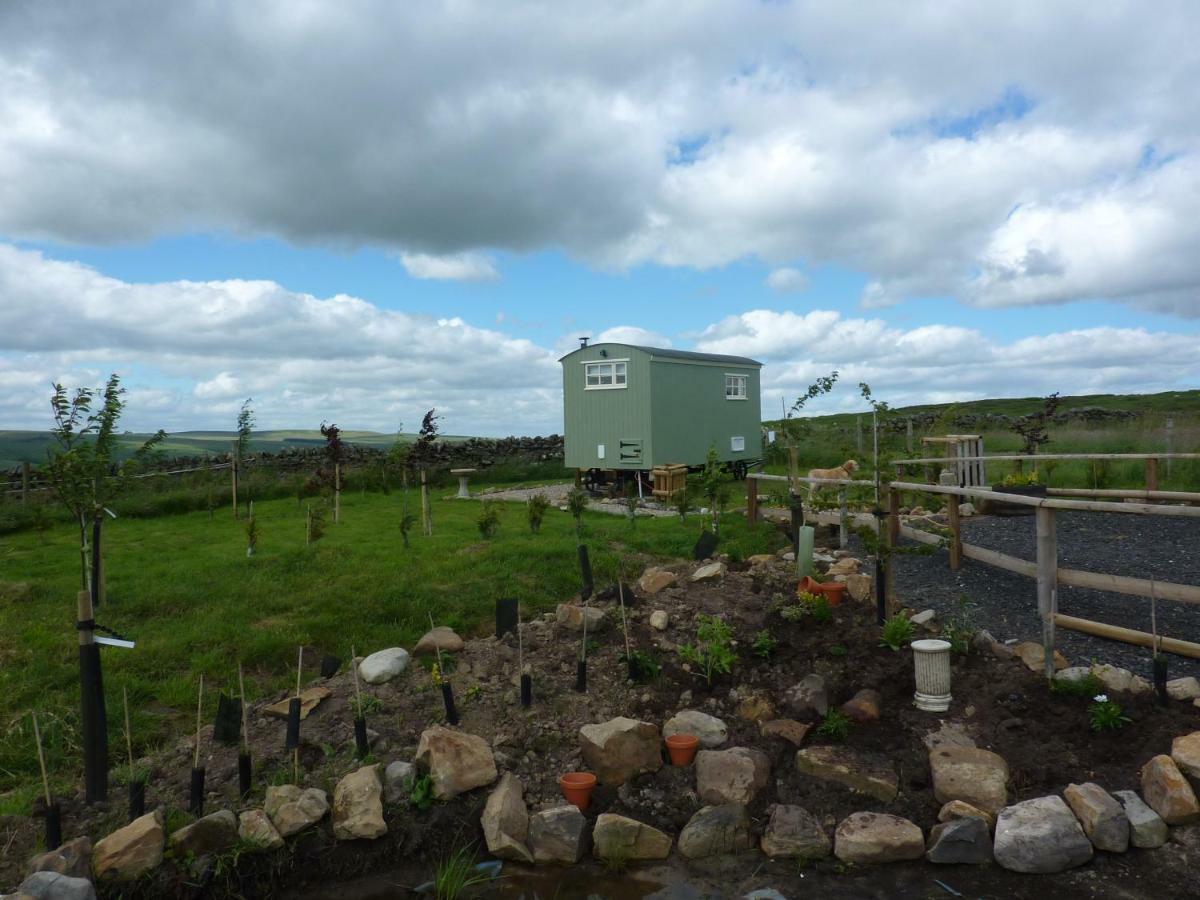 The Buteland Stop Rosie Off Grid Shepherds Hut 贝林翰 外观 照片