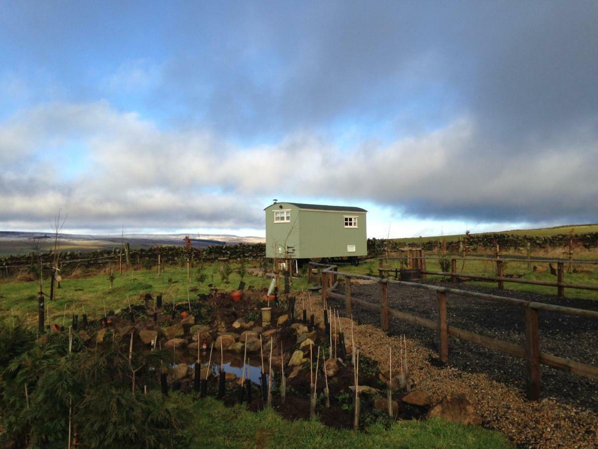 The Buteland Stop Rosie Off Grid Shepherds Hut 贝林翰 外观 照片