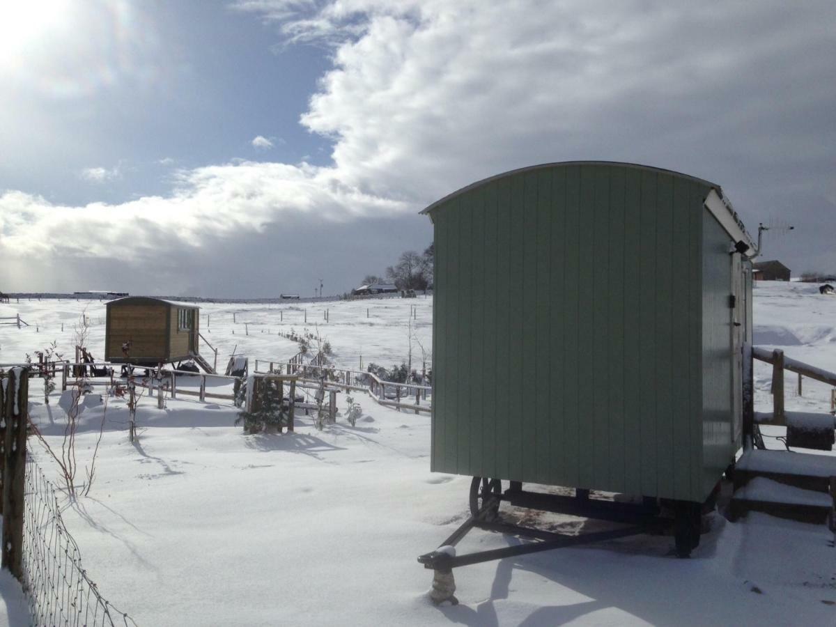The Buteland Stop Rosie Off Grid Shepherds Hut 贝林翰 外观 照片